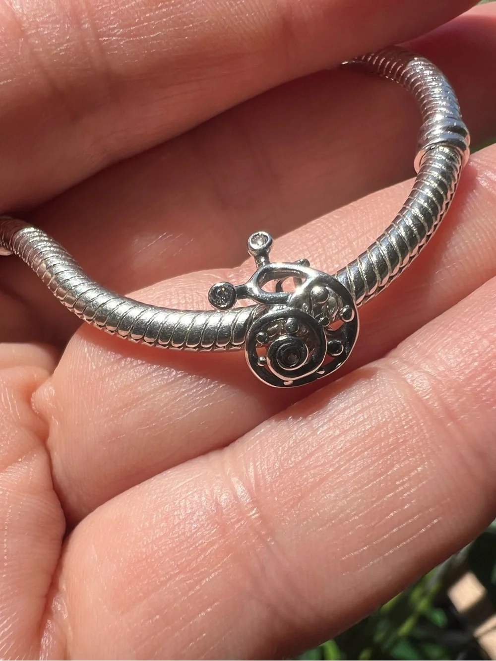 Snail 🐌 Charm